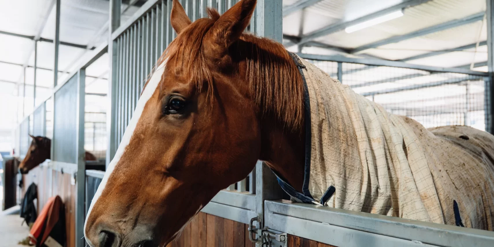 Stable_Complex