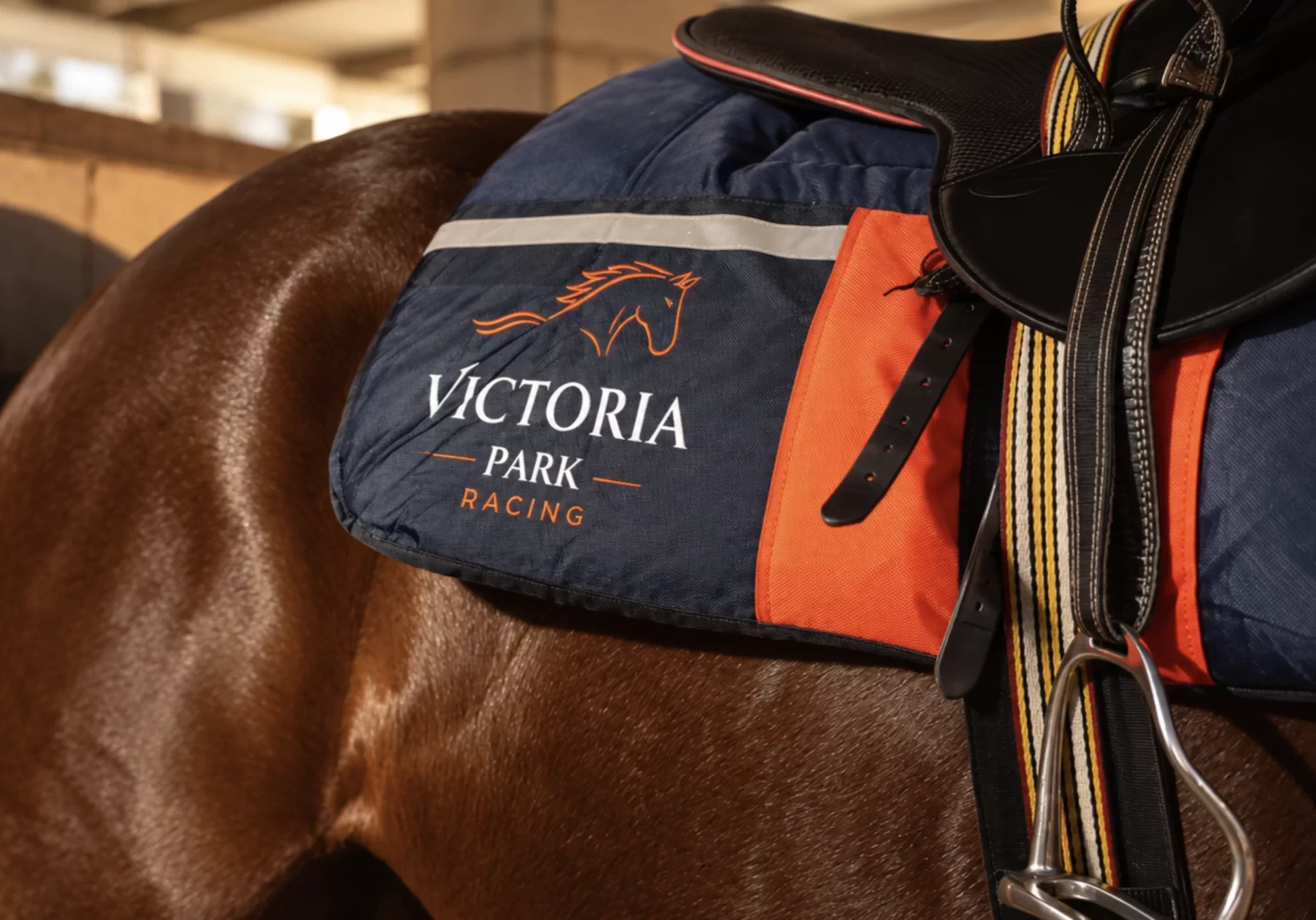 VPR_Saddle